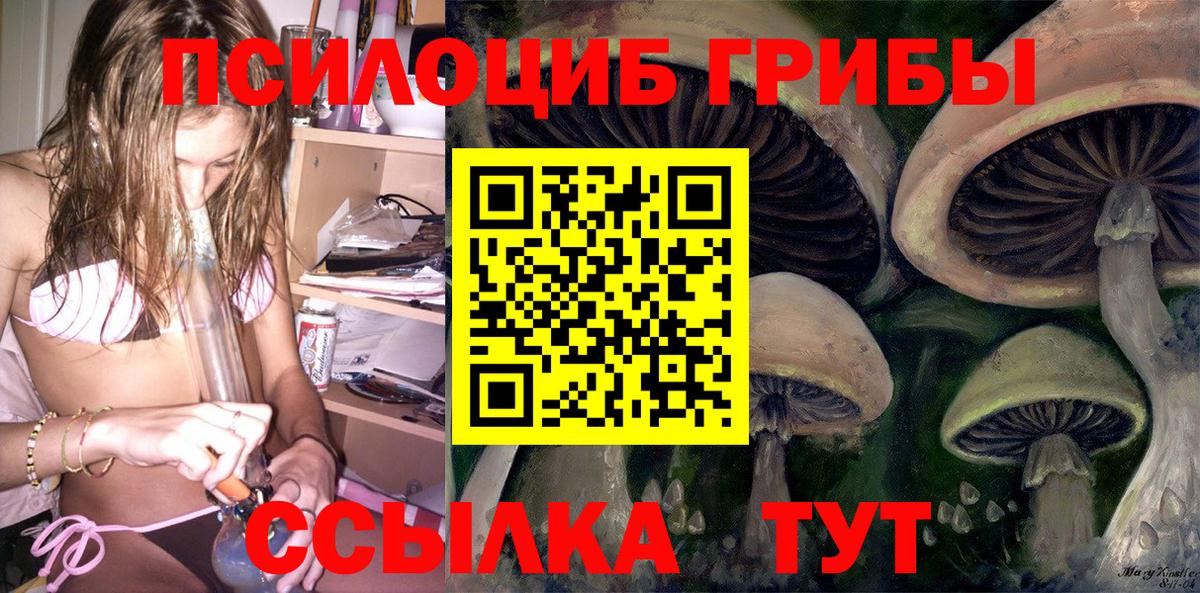 Малоярославец  Псилоцибиновые грибы Cubensis  Вход с VPN 