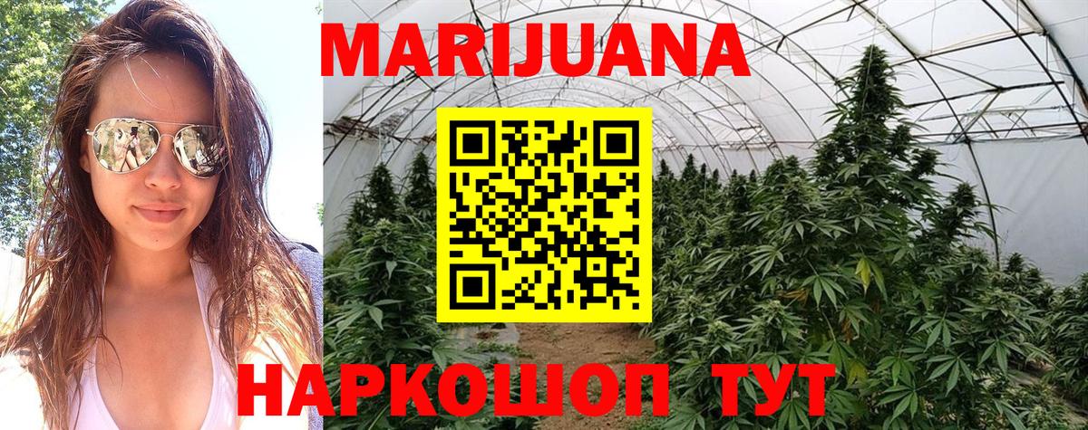 Конопля индика Малоярославец